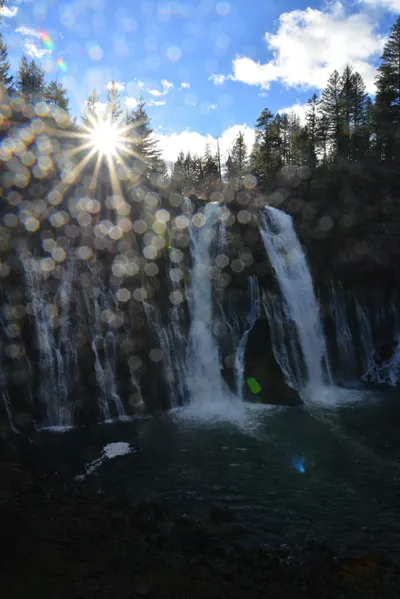 DSC_5938 (Large).JPG